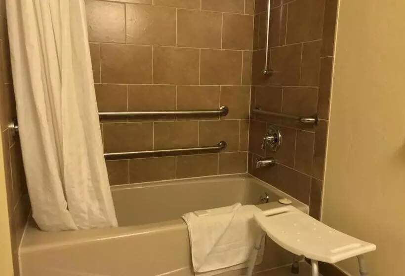اتاق استاندارد با تخت بزرگ برای معلولان, The Morgan Hotel San Simeon