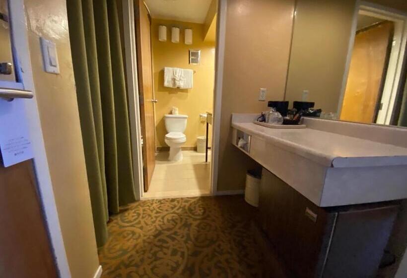 デラックスルーム, The Morgan Hotel San Simeon