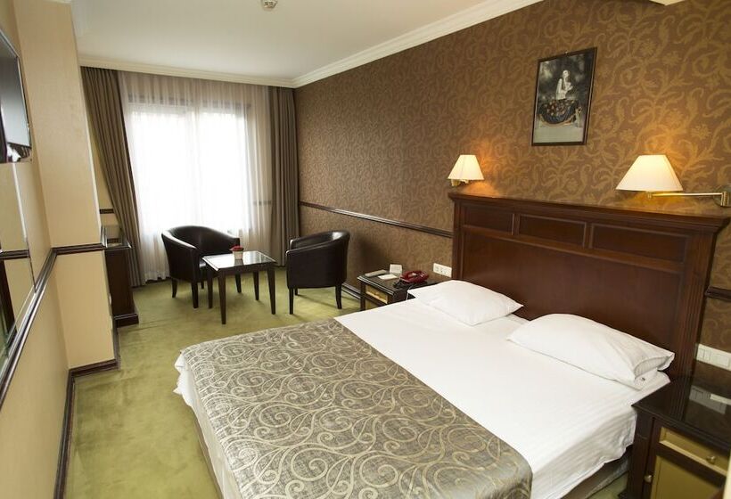 スタンダードシングルルーム, Topkapi Inter Istanbul