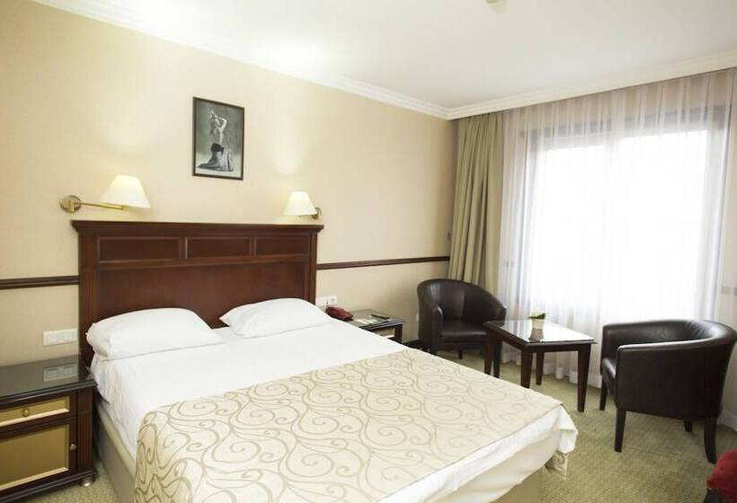 スタンダードシングルルーム, Topkapi Inter Istanbul