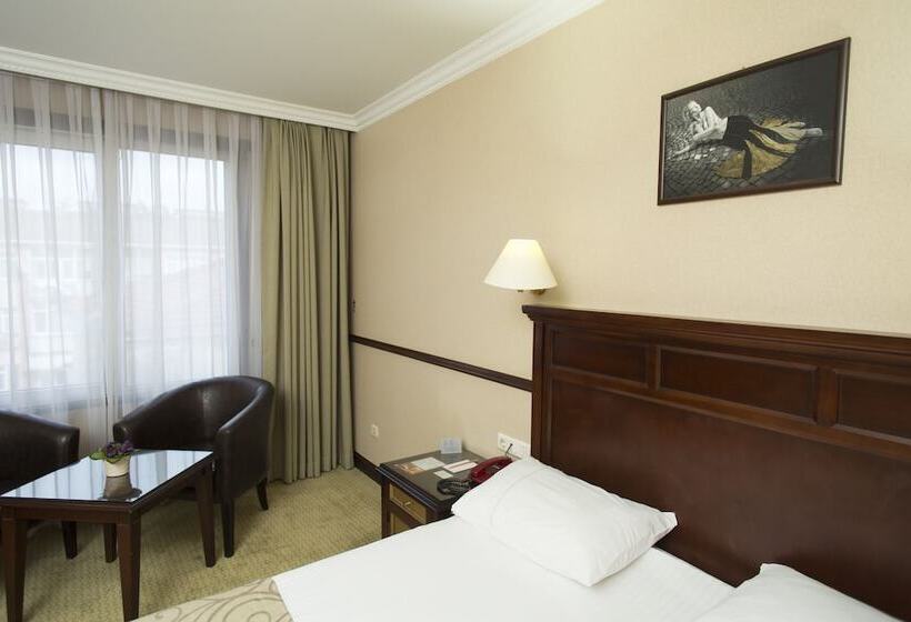 スタンダードルーム, Topkapi Inter Istanbul