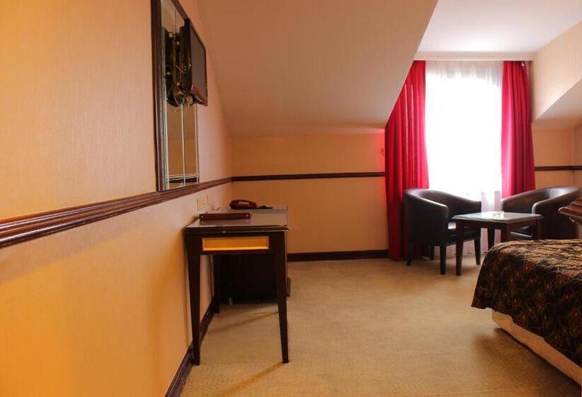 スタンダードシングルルーム, Topkapi Inter Istanbul