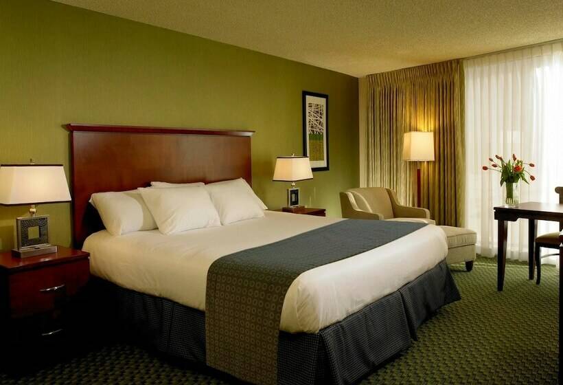 חדר דלוקס, The Aquarius Casino Resort, Bw Premier Collection