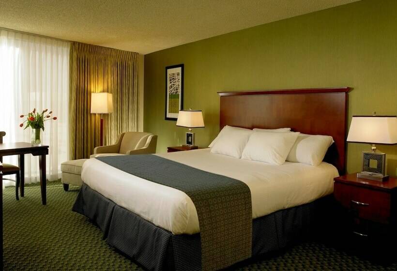 חדר דלוקס, The Aquarius Casino Resort, Bw Premier Collection