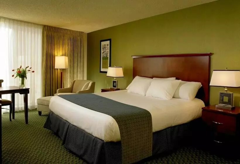 اتاق لوکس, The Aquarius Casino Resort, Bw Premier Collection