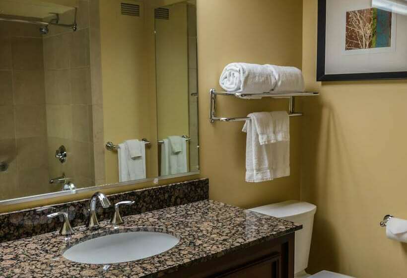 חדר דלוקס, The Aquarius Casino Resort, Bw Premier Collection