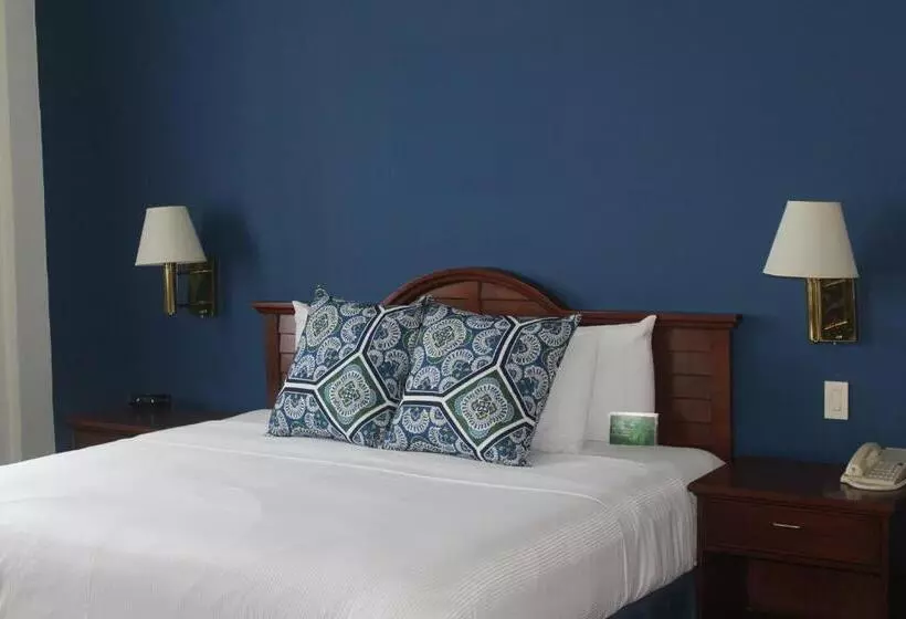 اتاق استاندارد با تخت بزرگ, Best Western Plus Los Mochis