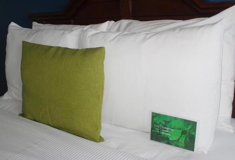 غرفة قياسية سرير كينج, Best Western Plus Los Mochis