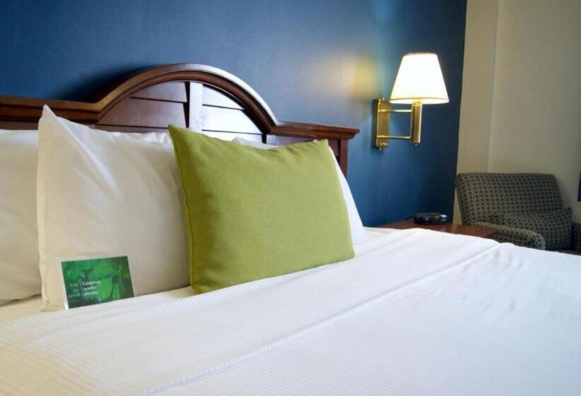 キングサイズベッドのスタンダードルーム, Best Western Plus Los Mochis