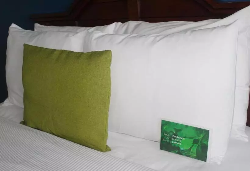 سوئیت با تخت بزرگ, Best Western Plus Los Mochis