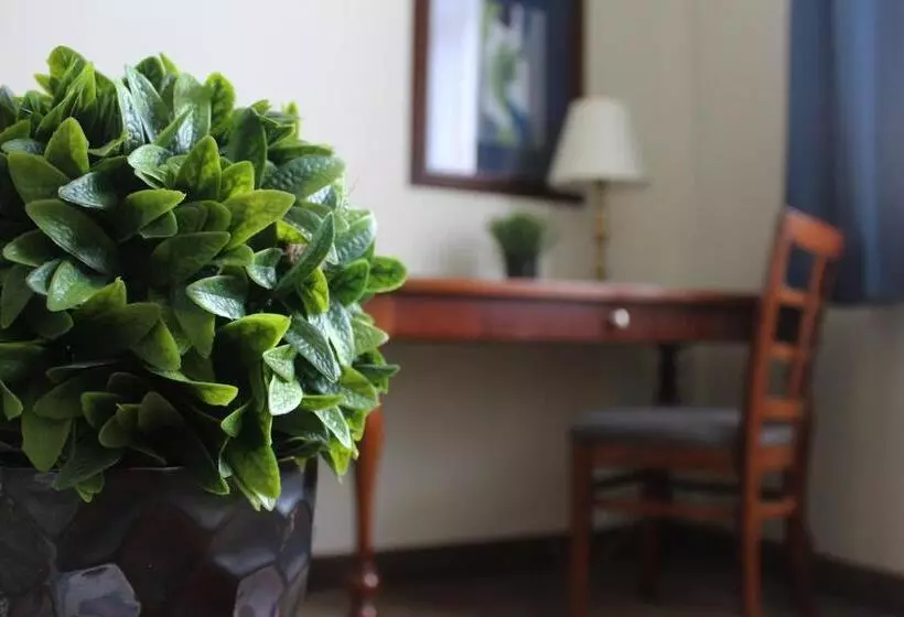 سوییت, Best Western Plus Los Mochis