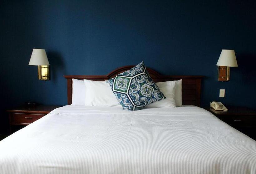 جناح سرير كينج, Best Western Plus Los Mochis