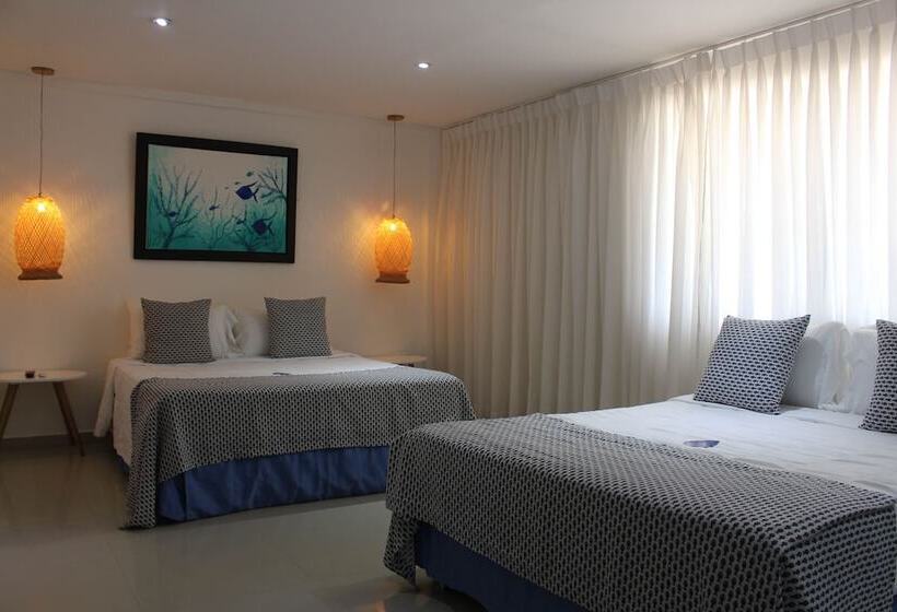 Номер Стандарт, Dorado Plaza Punta Arena