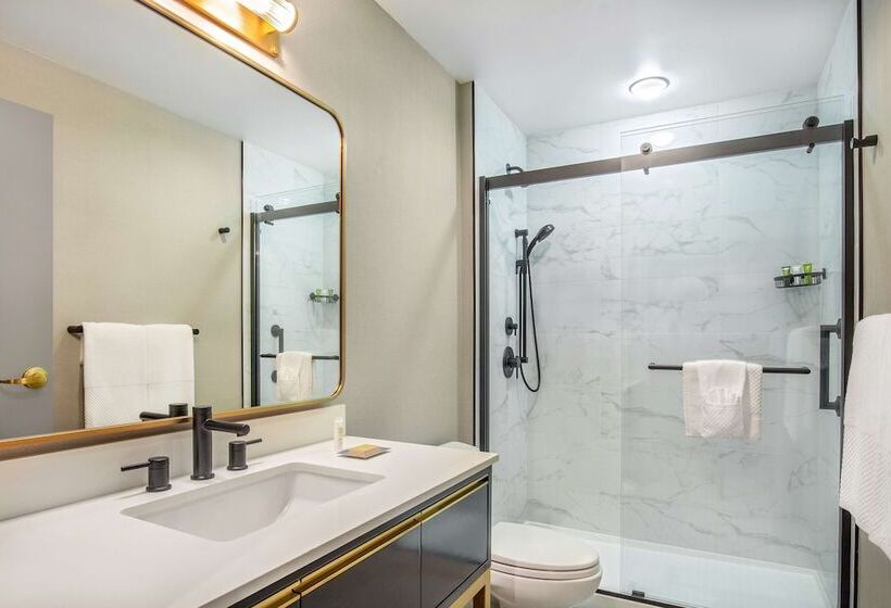 豪华房间, The Dagny Boston