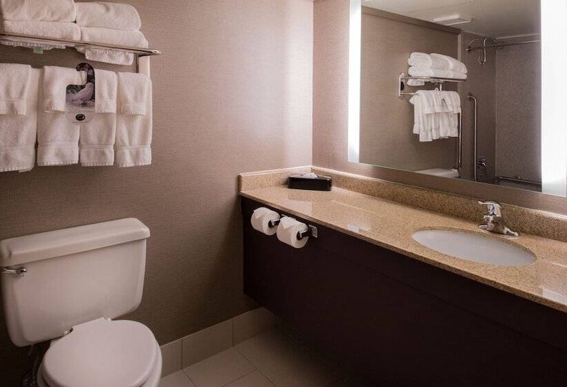 스탠다드 룸, Holiday Inn St Louis Downtown/convention Center, An Ihg