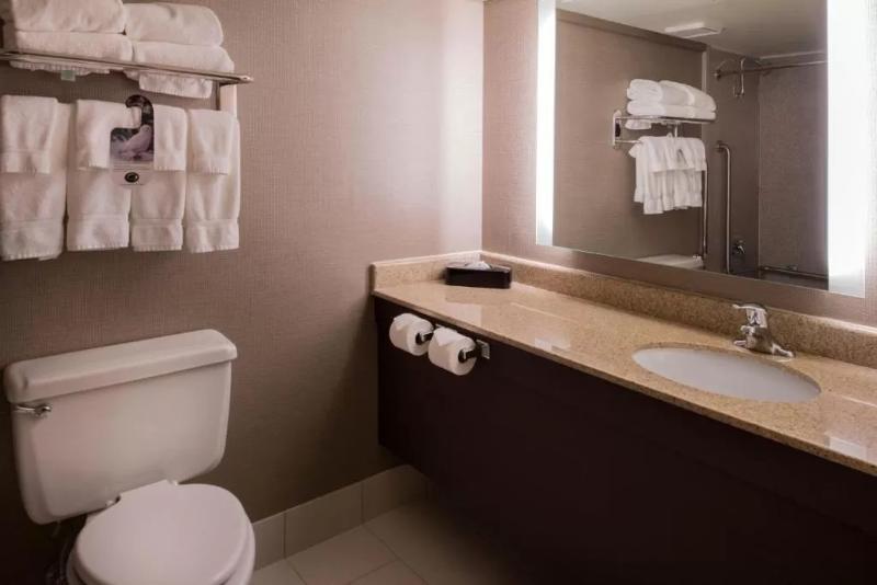 适合残疾人士使用的带超级大床的标准间, Holiday Inn St Louis Downtown/convention Center, An Ihg