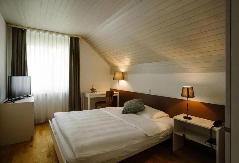 Standart Tek Kişilik Oda, Landgasthof Bären