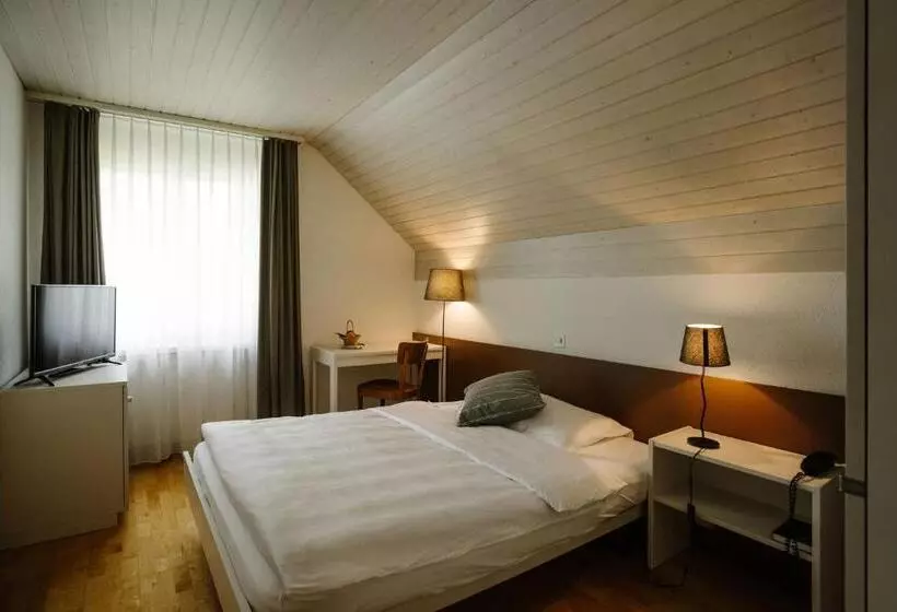 Standard Yhden Hengen Huone, Landgasthof Bären