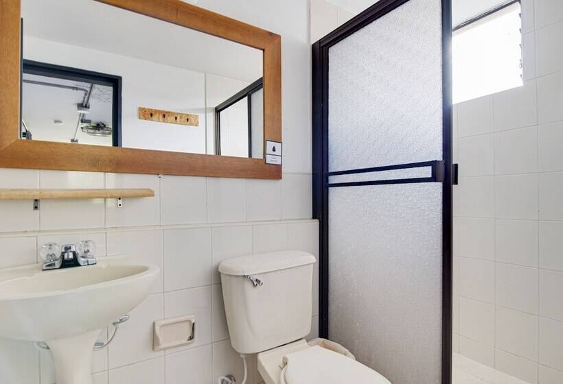 共用房间的床, Socialtel Medellin Formerly Selina Medellin