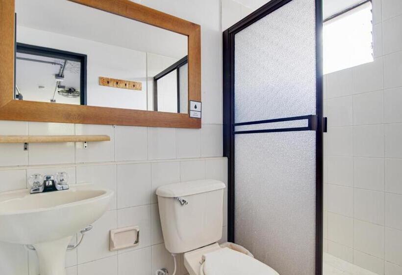 基本房间共用浴室, Socialtel Medellin Formerly Selina Medellin