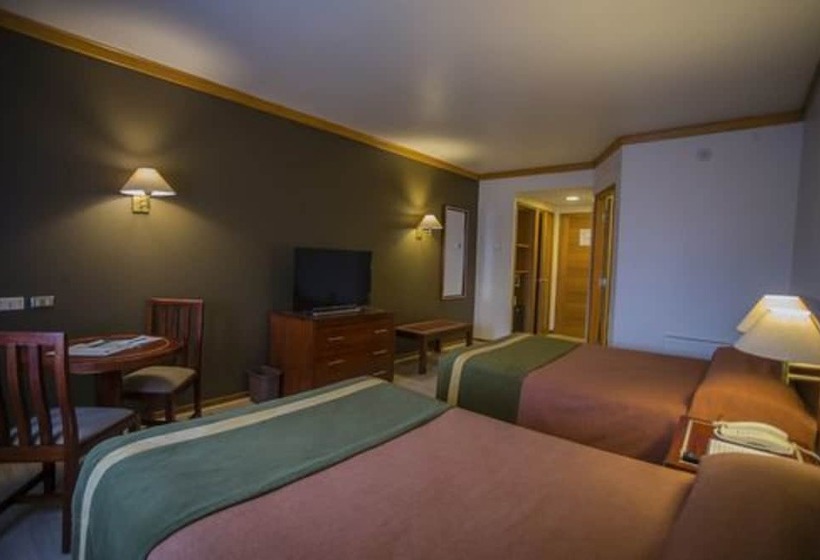 StandaardKamer, Diego De Almagro Puerto Montt