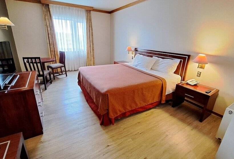 StandaardKamer, Diego De Almagro Puerto Montt