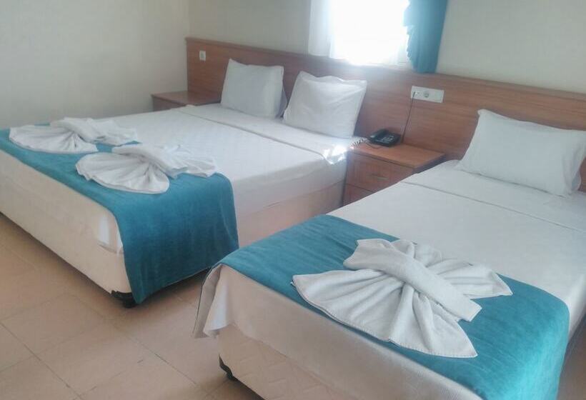 标准三人间, Grove