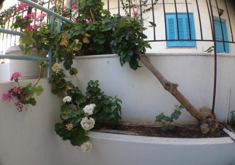 이코노미 스튜디오, Renia