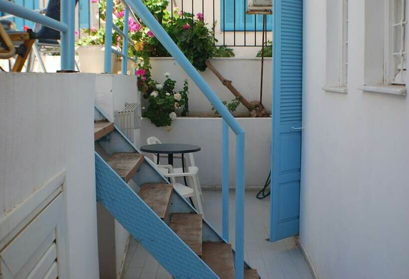 이코노미 스튜디오, Renia