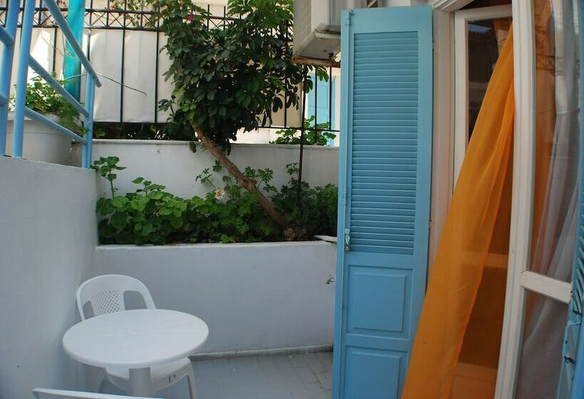 이코노미 스튜디오, Renia