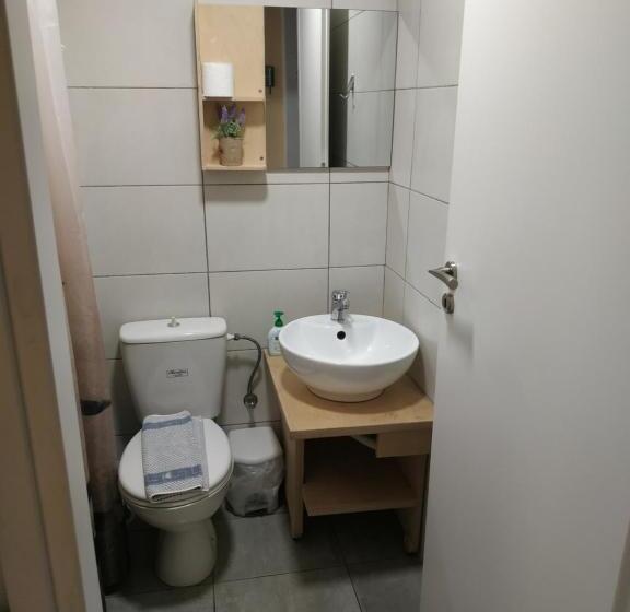 스탠다드 스튜디오, Renia