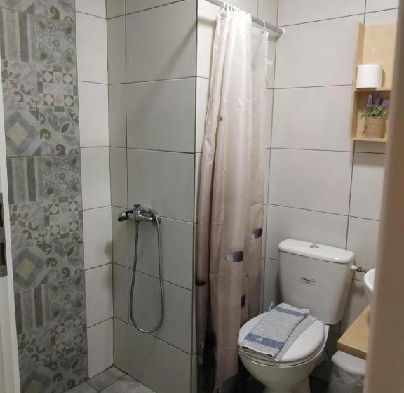 Студия Стандарт, Renia