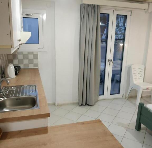 이코노미 스튜디오, Renia