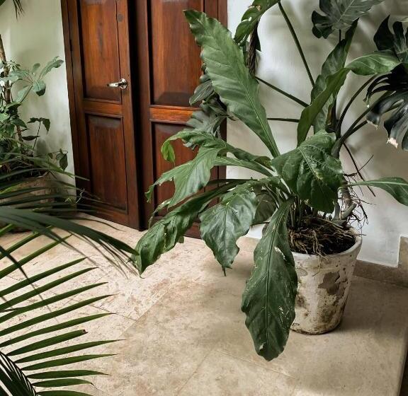 חדר סופריור, Boutique Casa Del Arzobispado