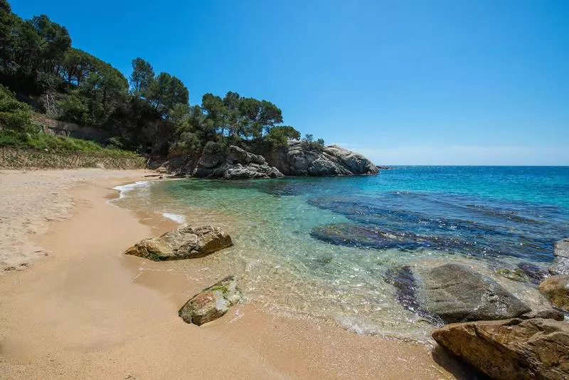 اتاق استاندارد, Cala Del Pi   Adults Only
