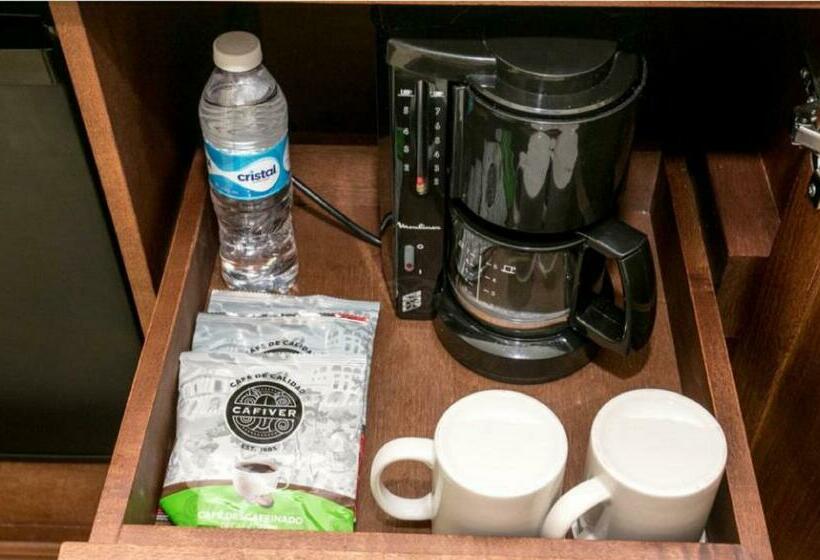 اتاق لوکس با چشمانداز باغ, Dreams Tulum Resort & Spa