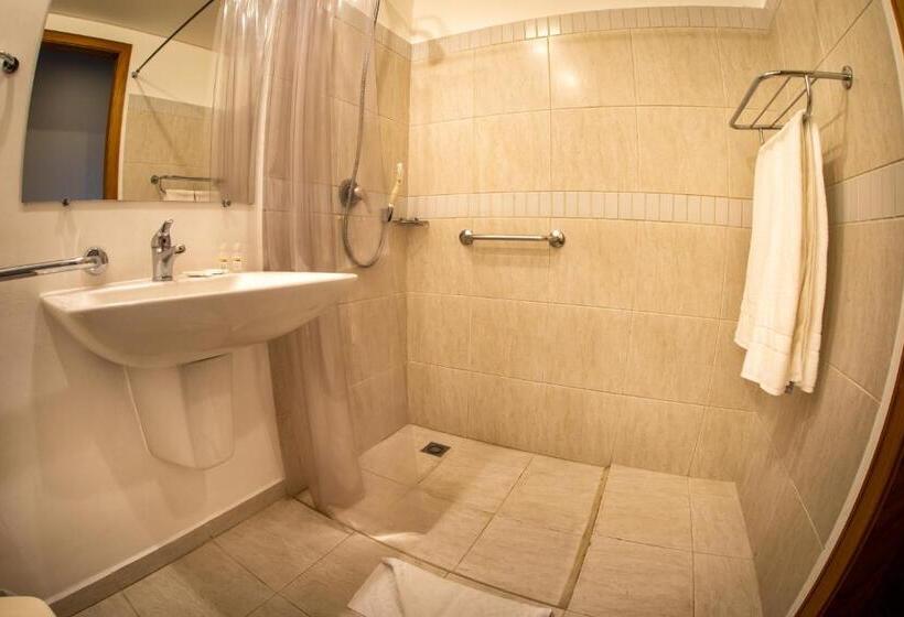 Номер Стандарт Кровать Кинг Адаптированный для Инвалидов, Campo Largo Express