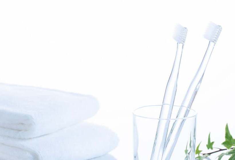 غرفة قياسية, Comfort Hotel Himeji