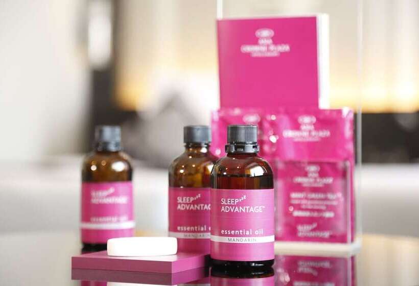 Quarto standard, Ana Crowne Plaza Toyama, An Ihg