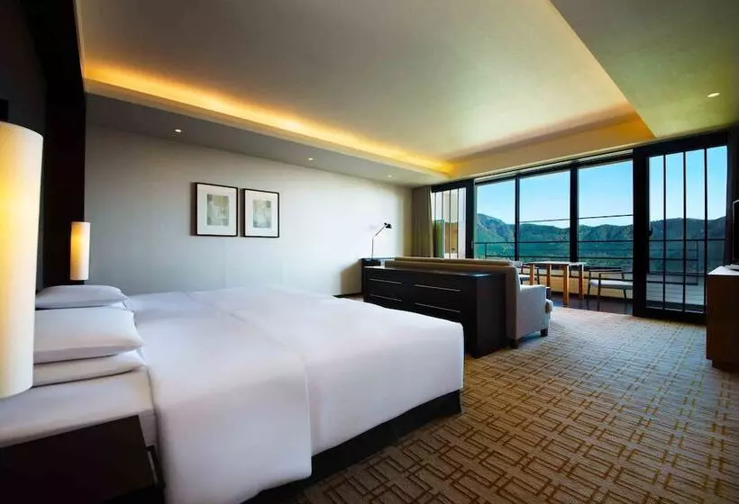 デラックスルーム, Hyatt Regency Hakone Resort And Spa