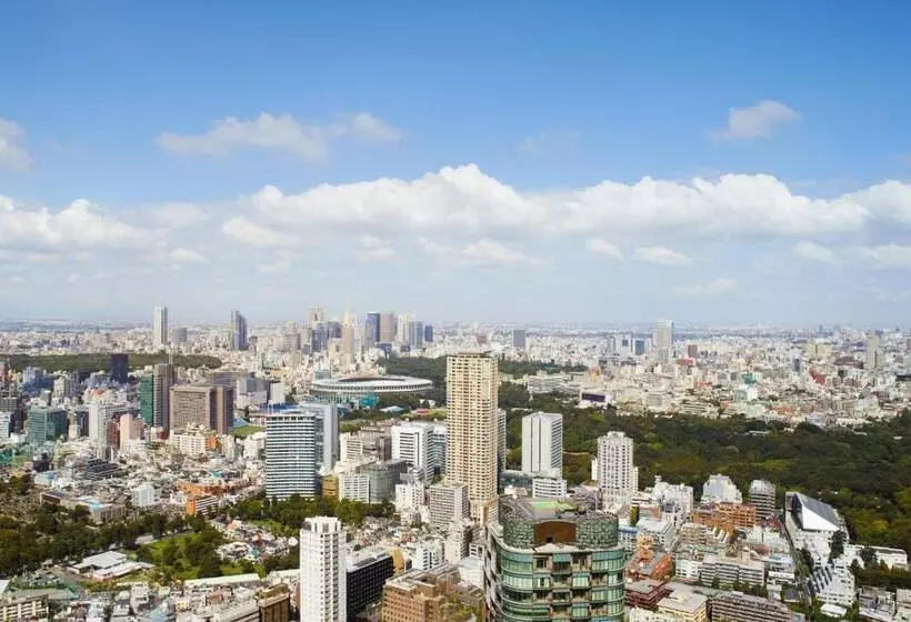 キングサイズベッドのクラブルーム, The Ritzcarlton, Tokyo