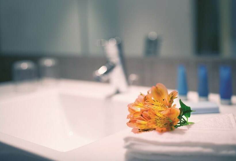 Представительский номер с видом, Mövenpick Hotel Amsterdam City Centre