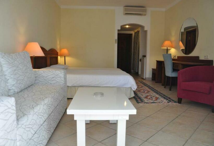 Номер Стандарт, Okaliptus