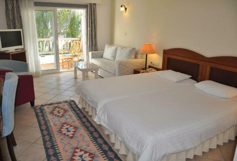 Номер Стандарт, Okaliptus