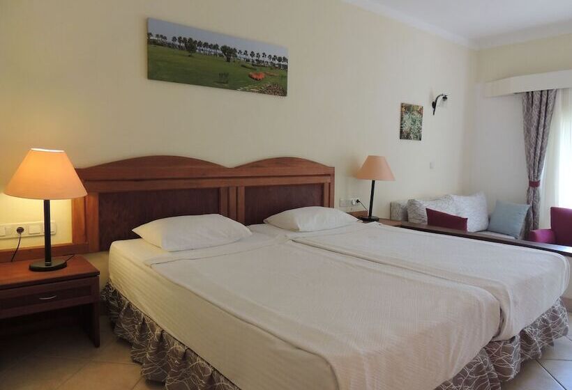 Номер Стандарт, Okaliptus