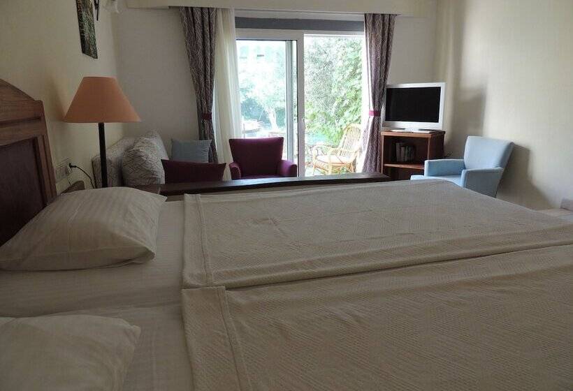 Номер Стандарт, Okaliptus