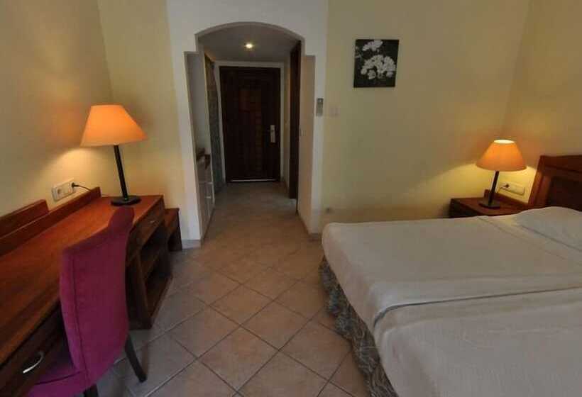 Номер Стандарт, Okaliptus