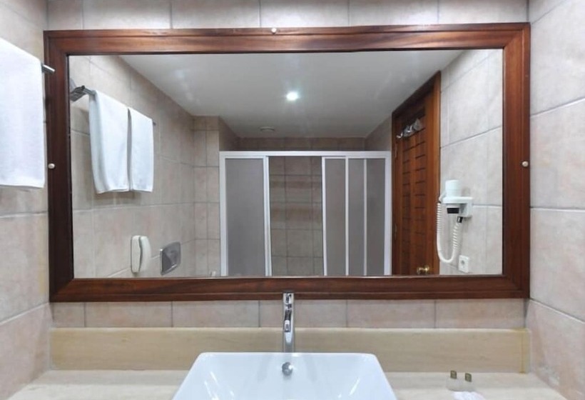 Номер Стандарт, Okaliptus