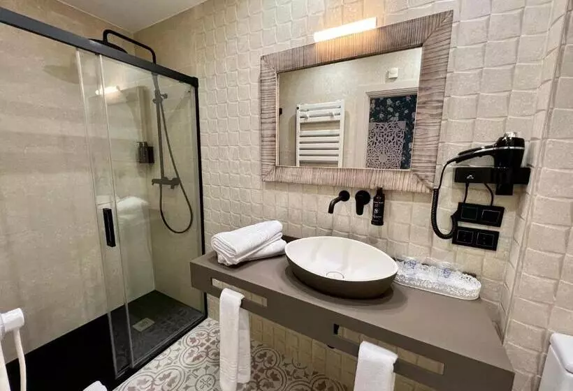 اتاق استاندارد, Akla Hotel Palacio Torre De Ruesga