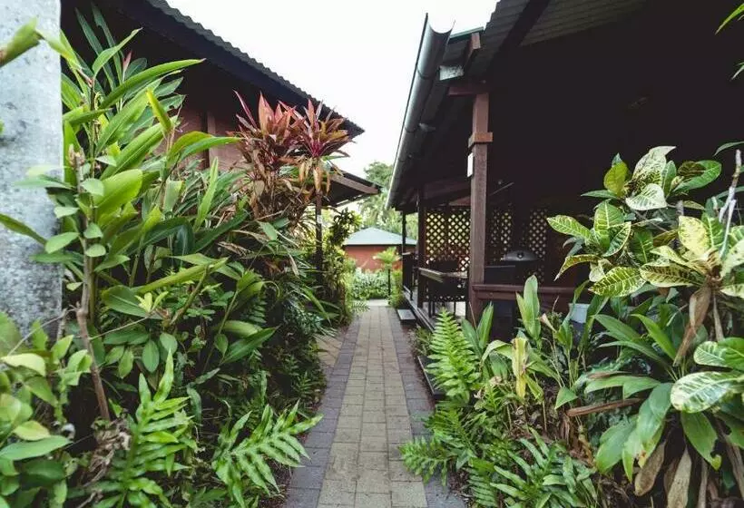 スタンダードバンガロー, Palms City Resort